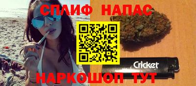 дмт Новокубанск