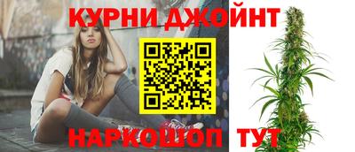 дмт Новокубанск